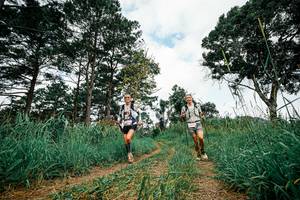 BIB: 
                            <button type="button" onclick="openModal(26005883)" class="btn btn-primary btn-sm float-right btn-popup" data-toggle="modal" data-target=".modal-high-quality">
                        <i class="fas fa-shopping-cart"></i> Add to Cart
                    </button>
                                            <button type="button" onclick="isThisMe(26005883, true)" class="btn btn-success btn-sm float-right btn-popup btn-isme hidden" data-toggle="tooltip" data-placement="bottom" title="นี่คือรูปของคุณใช่ไหม คลิกที่นี่เพื่อเอาเข้าอัลบั้ม">
                        <i class="fas fa-plus"></i> Add to album
                    </button>
                    <button type="button" onclick="isThisMe(26005883, false)" class="btn btn-warning btn-sm float-right btn-popup btn-isnotme hidden">
                        <i class="fas fa-ban"></i> Remove from album
                    </button>